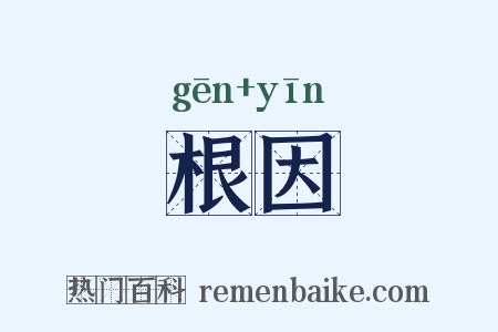 根因是什么意思的图片